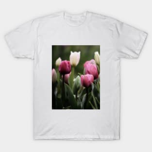 Spring Tulips T-Shirt